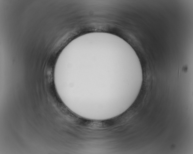 X0000116260123200912291504