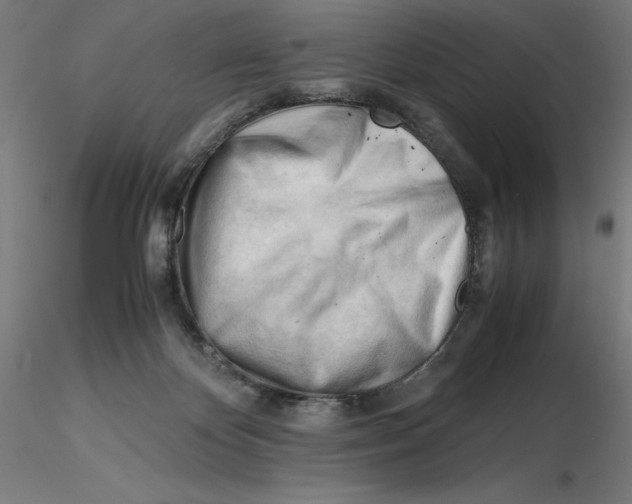 X0000116260124200912291504