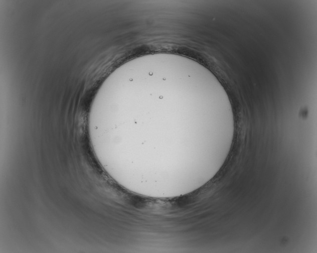 X0000116260125200912291504
