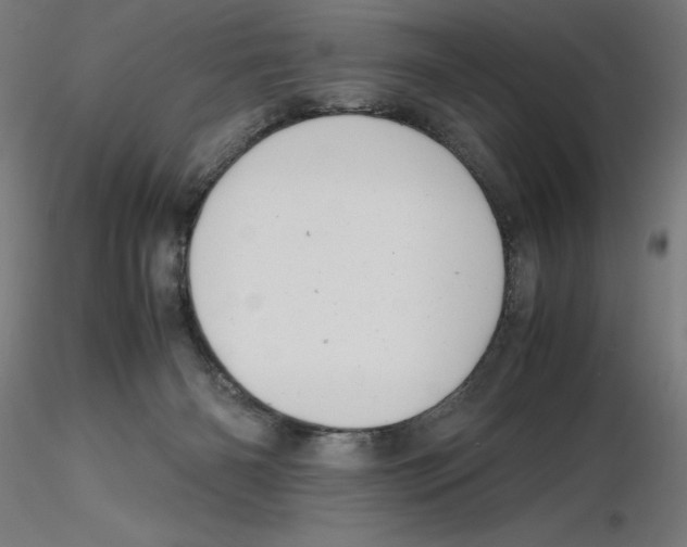 X0000116260126200912291504
