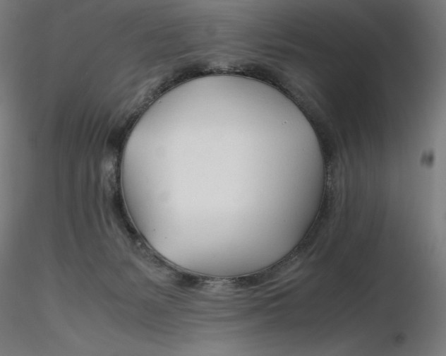 X0000116260127200912291504