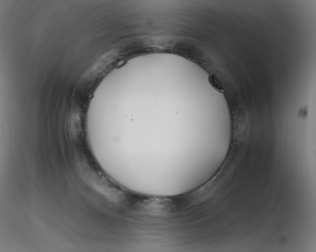 X0000116260128200912291504
