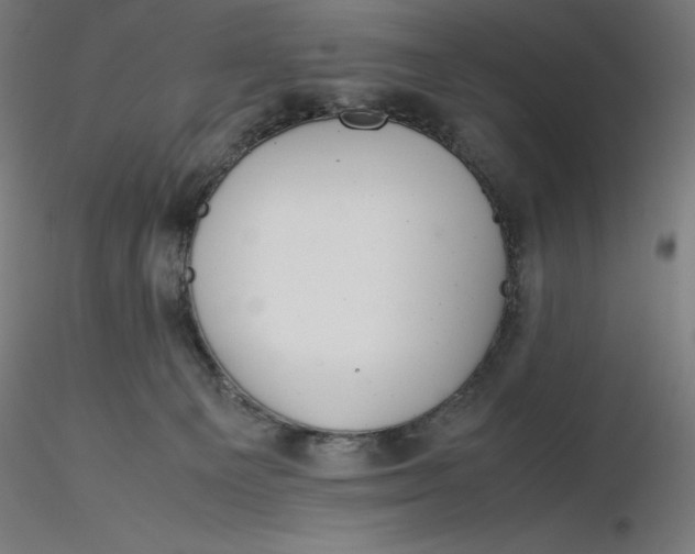 X0000116260129200912291504