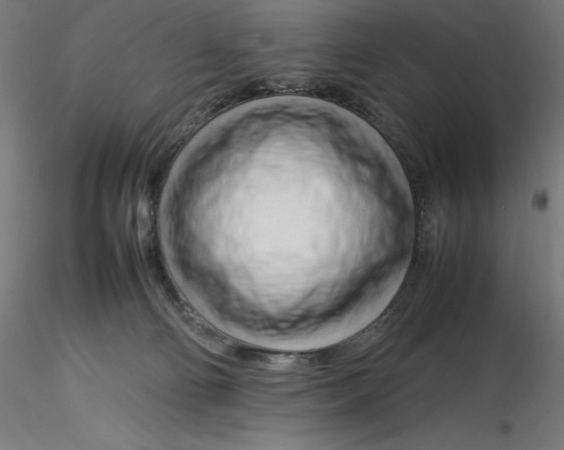 X0000116260130200912291504