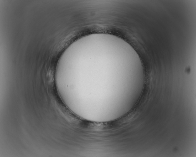 X0000116260131200912291504