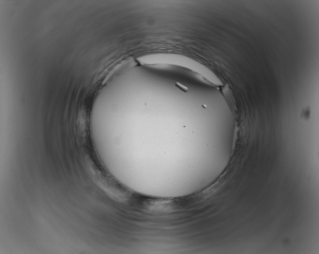 X0000116260132200912291504