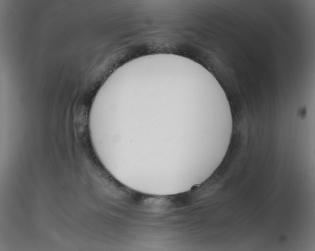 X0000116260133200912291504