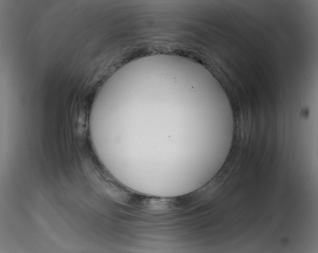 X0000116260134200912291504