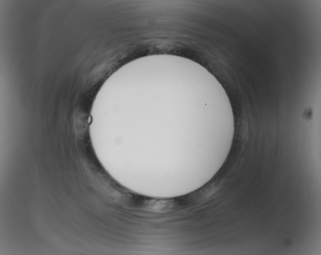 X0000116260135200912291504