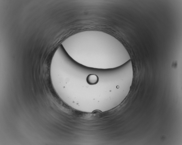 X0000116260136200912291504