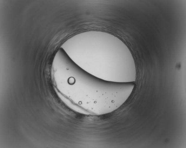 X0000116260137200912291504