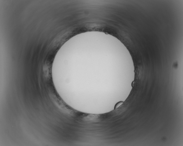 X0000116260138200912291504