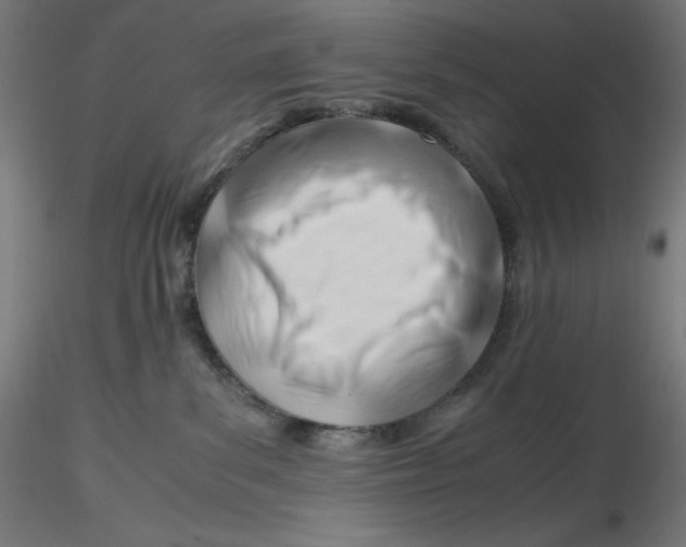 X0000116260139200912291504