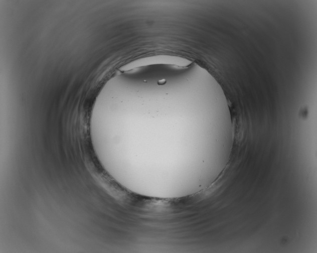X0000116260140200912291504