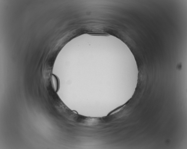 X0000116260141200912291504