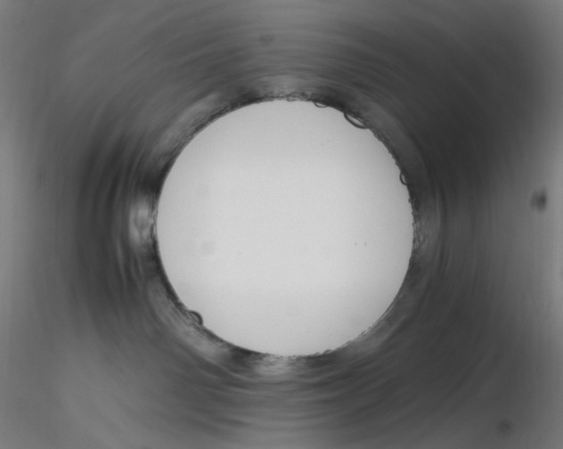 X0000116260142200912291504