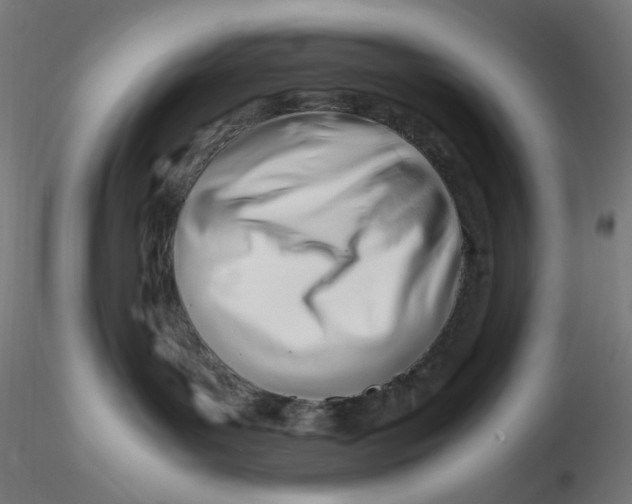 X0000116260143200912291504