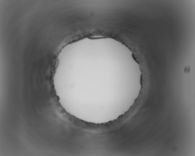 X0000116260144200912291504