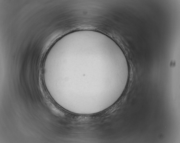 X0000116260145200912291503