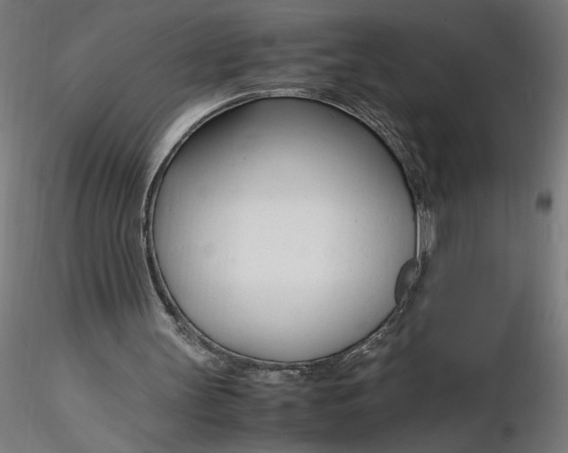 X0000116260147200912291504