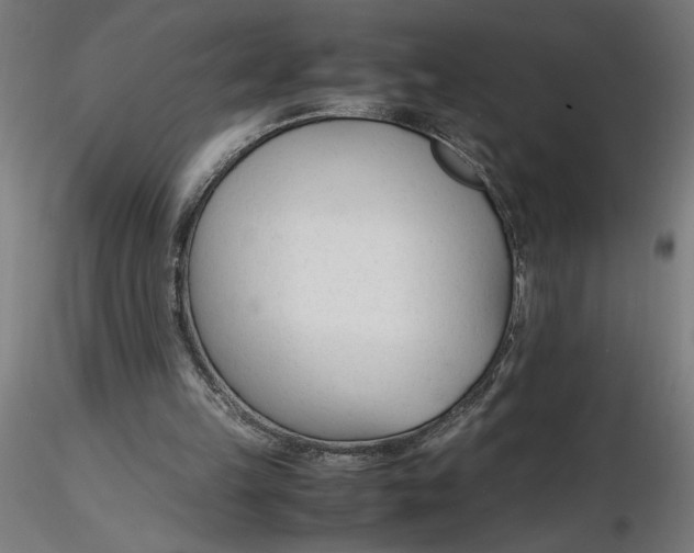 X0000116260149200912291504