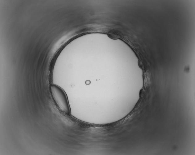 X0000116260150200912291504