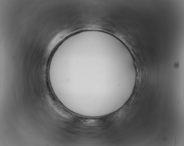 X0000116260151200912291504