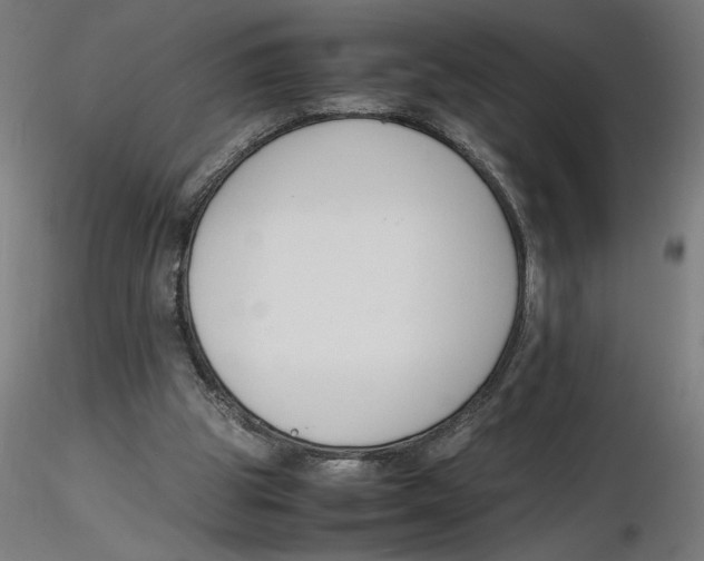 X0000116260153200912291504