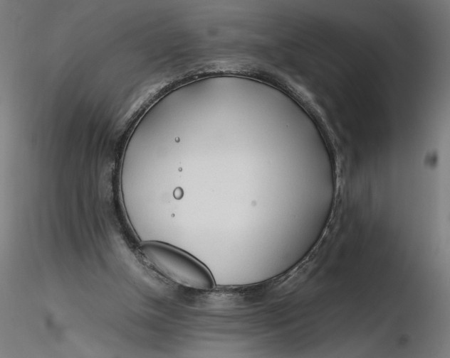X0000116260154200912291504