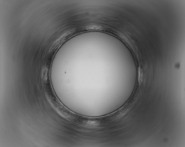 X0000116260157200912291504