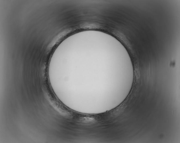 X0000116260159200912291504