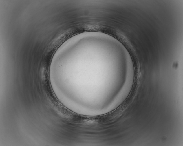 X0000116260161200912291504