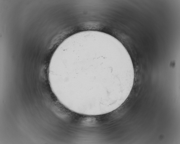 X0000116260162200912291504