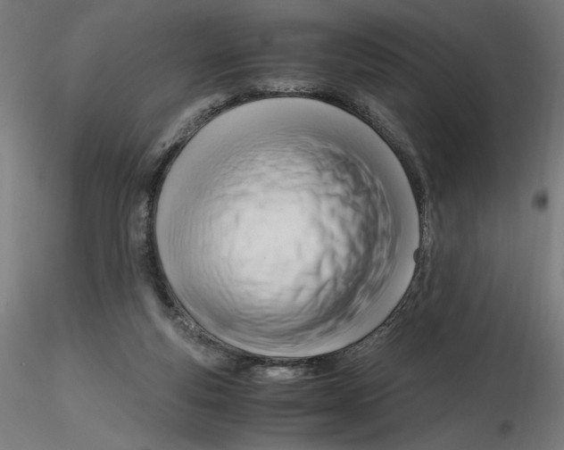 X0000116260163200912291504
