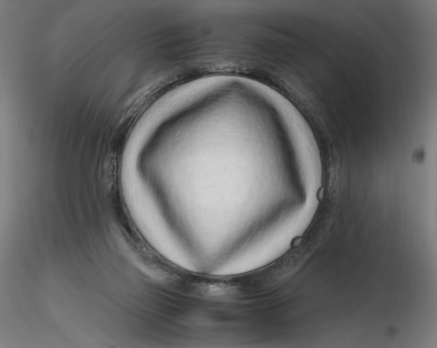 X0000116260165200912291504