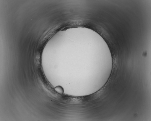 X0000116260166200912291504