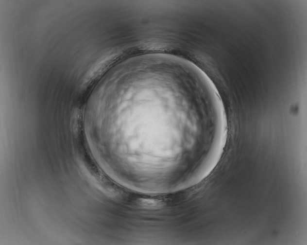 X0000116260167200912291504