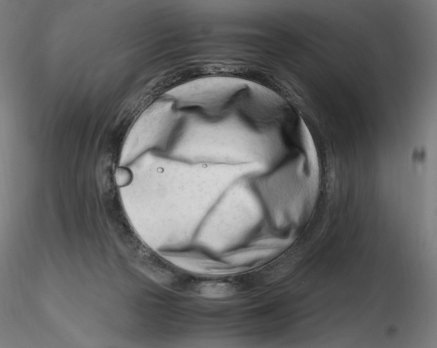 X0000116260169200912291504