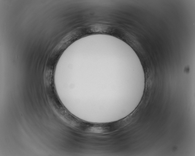 X0000116260171200912291504