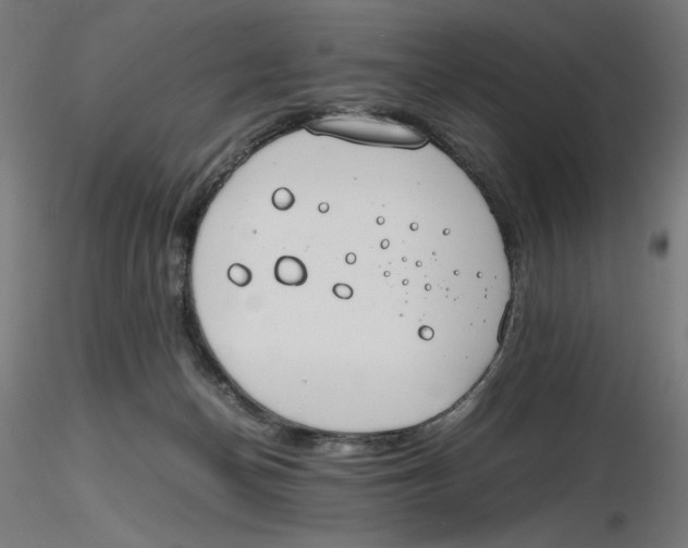 X0000116260174200912291504