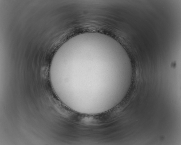 X0000116260177200912291504