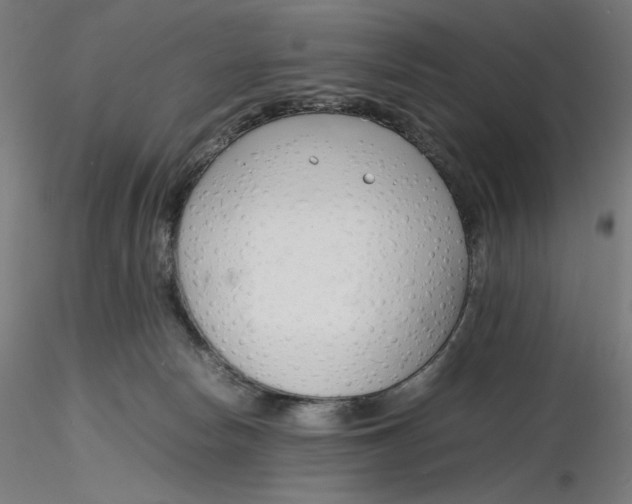 X0000116260178200912291504