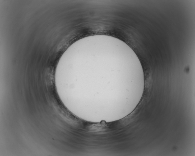 X0000116260179200912291504
