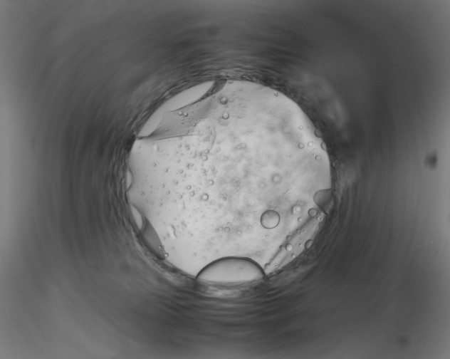 X0000116260181200912291504