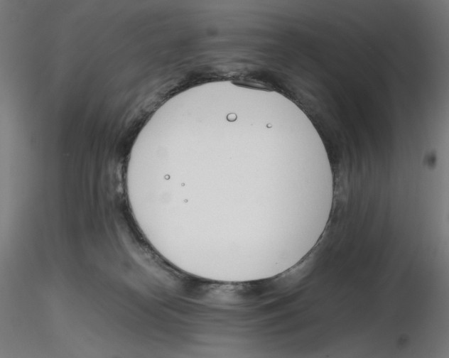 X0000116260182200912291504