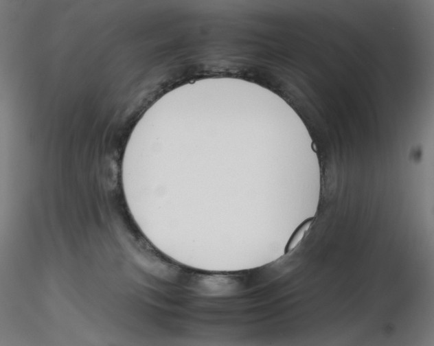 X0000116260183200912291504