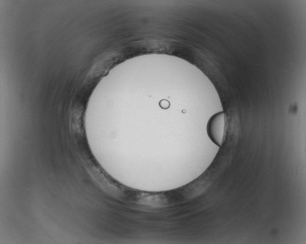 X0000116260185200912291504