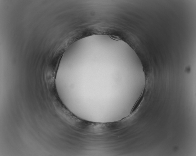 X0000116260186200912291504