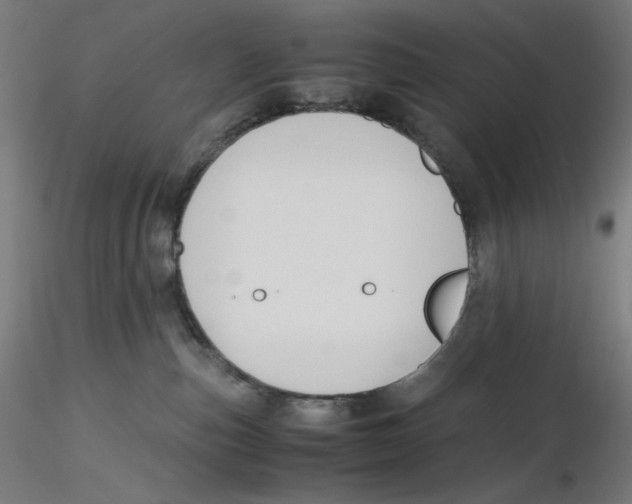 X0000116260187200912291504