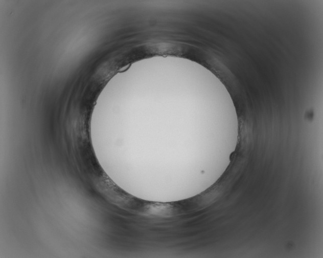 X0000116260189200912291504